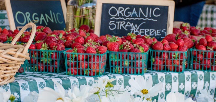 organic-strawberries-on-table