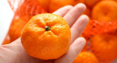 0-115406699-orangeonhand