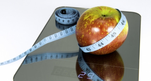 0-155310104-fotolia-63181916-subscription-monthly-m