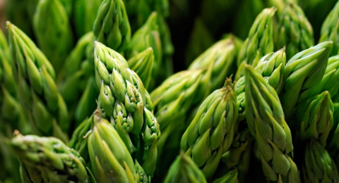 0-169658156-asparagus