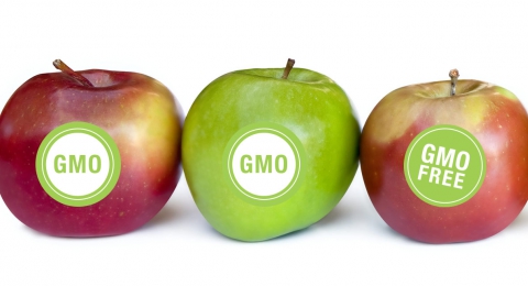 0-221804565-gmo-hero