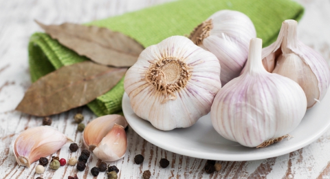0-293567180-fotolia-59857598-subscription-monthly-m