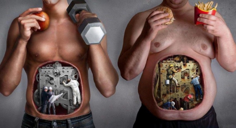 0-407624436-healthy-food-vs-junk-food