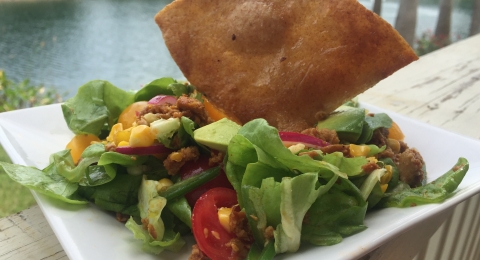 0-488294642-vegan-seitan-taco-salad-photo