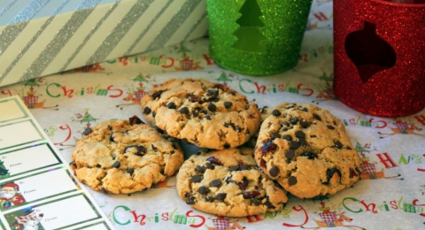 0-506529993-gluten-free-oatmeal-cranberry-chocolate-chip-cookies-vegan