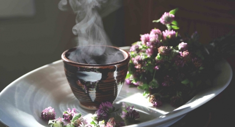 0-517419802-herbalteaforskin