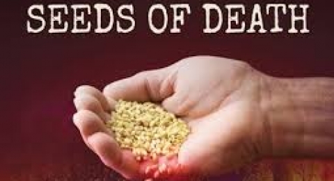 0-695948863-seedsofdeath