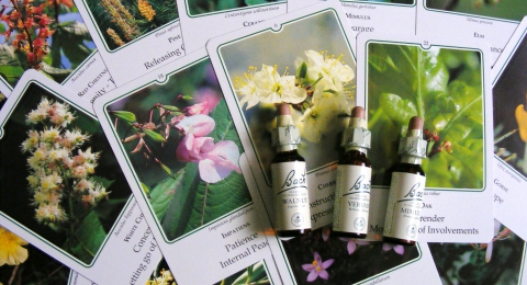 0-818502463-bachflowerremedies