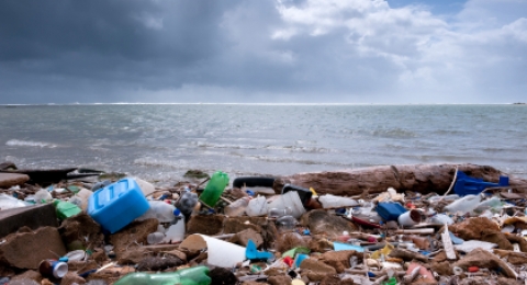 0-873791716-plasticinocean