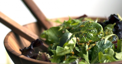 0-435829592-orange-poppyseed-dressing