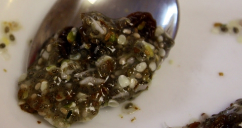 Protein Chia Pudding