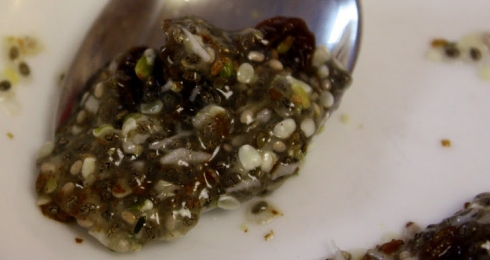 0-947114930-muscle-building-chia-pudding