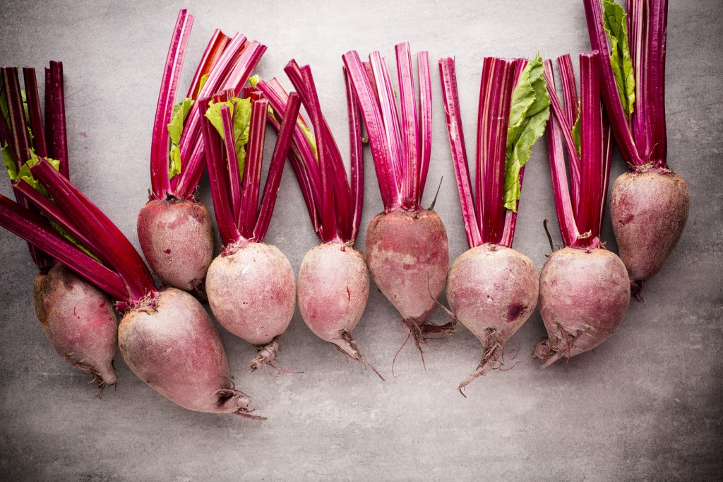 The new beet harvest. Still life.