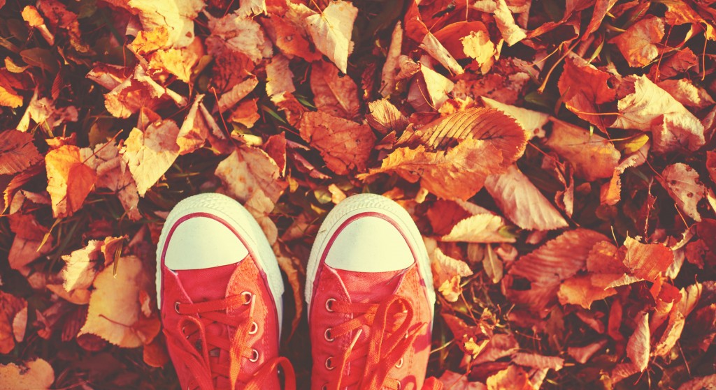 Wellness Challenge Day 2: Get Back to Nature