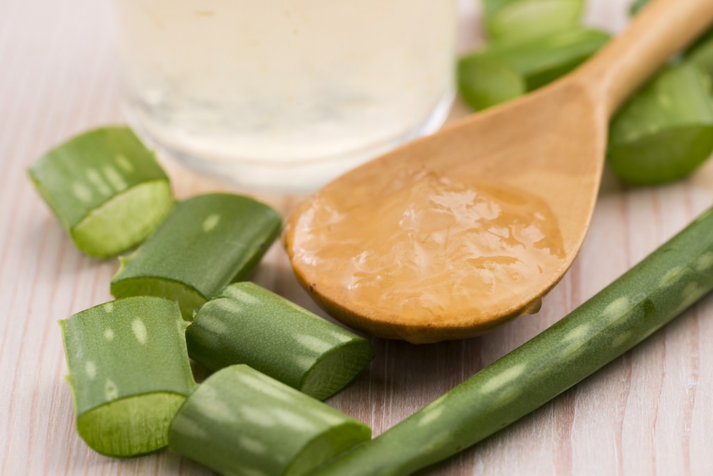aloe vera juice with fresh leaves