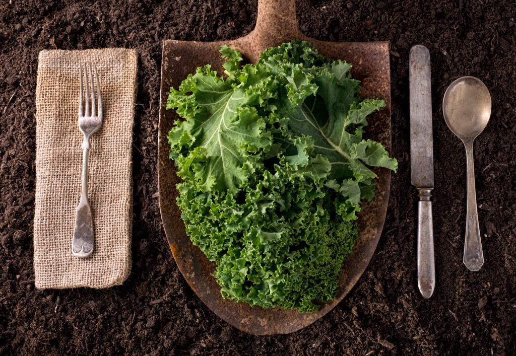 Organic farm to table healthy eating concept on soil background.