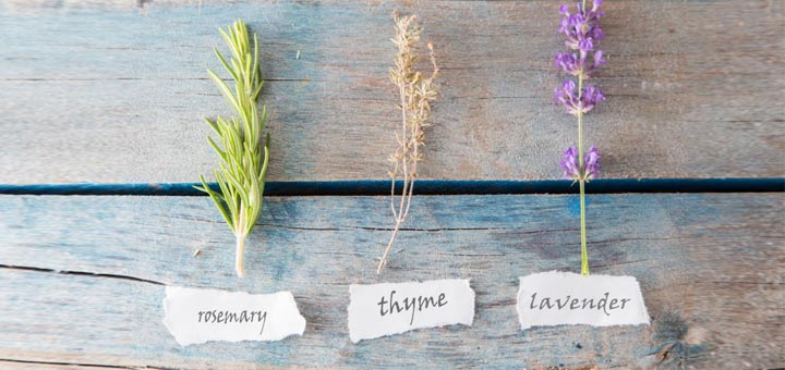 How To Use Essential Oils To Relieve Headaches