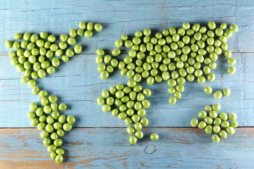 World Map Made from Peas