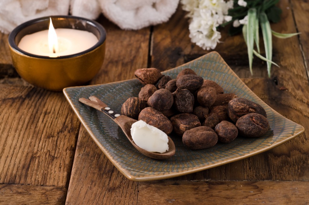Shea nuts and shea butter on a spoon in a natural mood