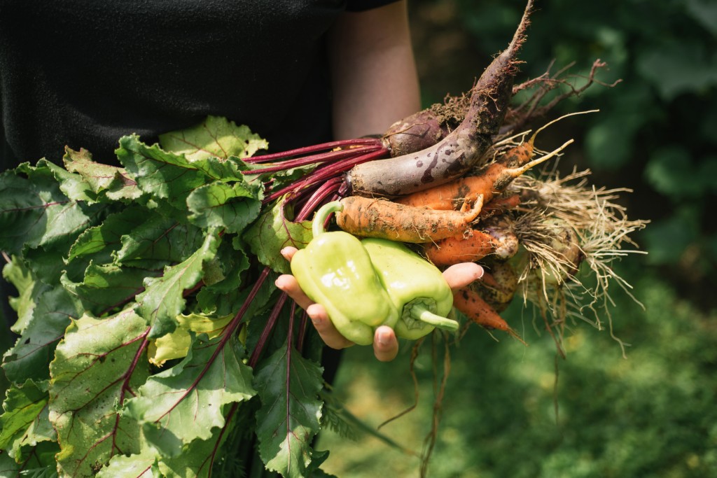 Women holding delicious fresh vegetables