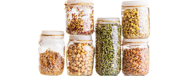 How To Grow Your Own Sprouts