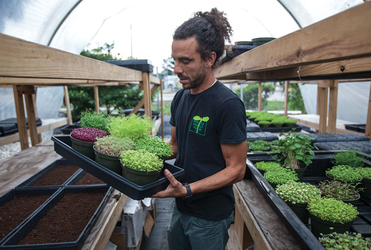 farm-to-table-0278