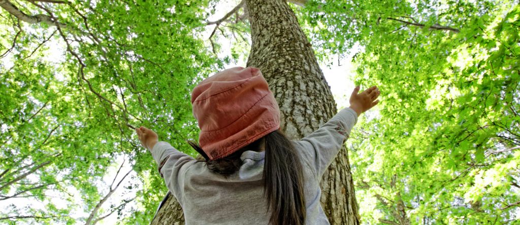 treehugger