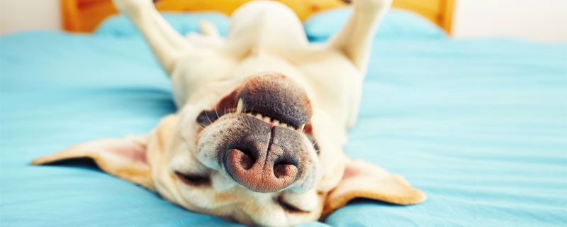 sleeping-quiz