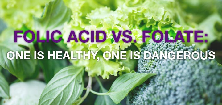 folate-vs-folic-acid