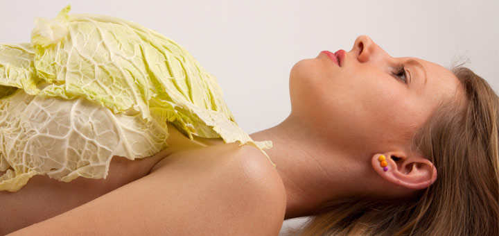 cabbage-on-breasts
