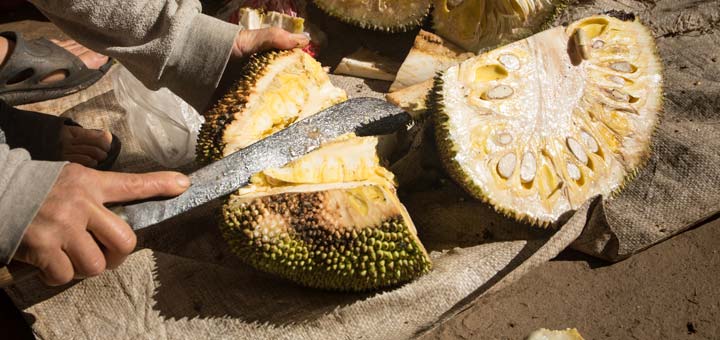 Jackfruit Has Some Powerful Healing Properties You Need ASAP