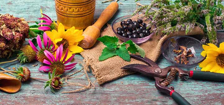 herbs-on-table