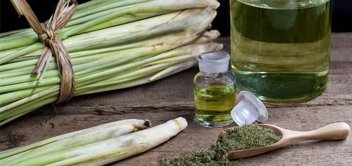 lemongrass