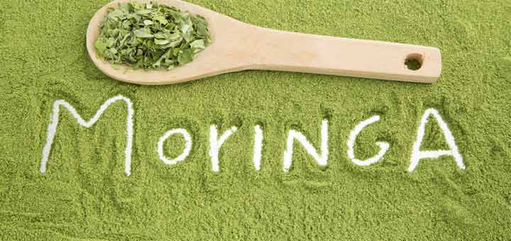 Moringa: The Herb That Helps To Kill Cancer