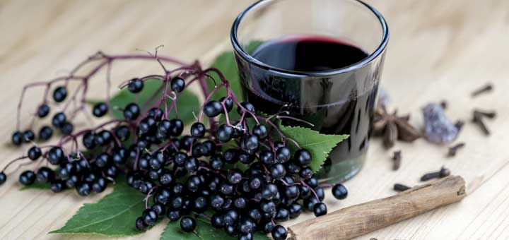 How To Make An Elderberry Syrup To Boost Immunity