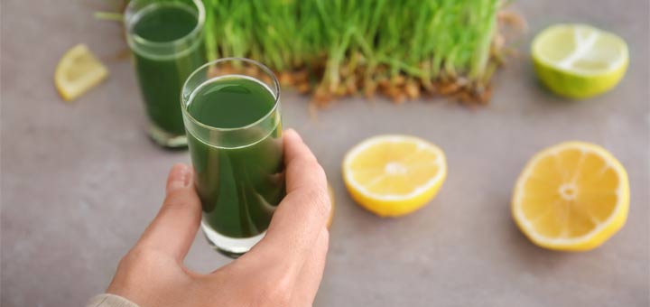 chlorophyll-shot-lemons
