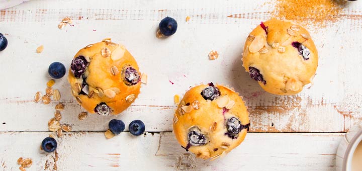 4 Ingredient Vegan Blueberry Muffins