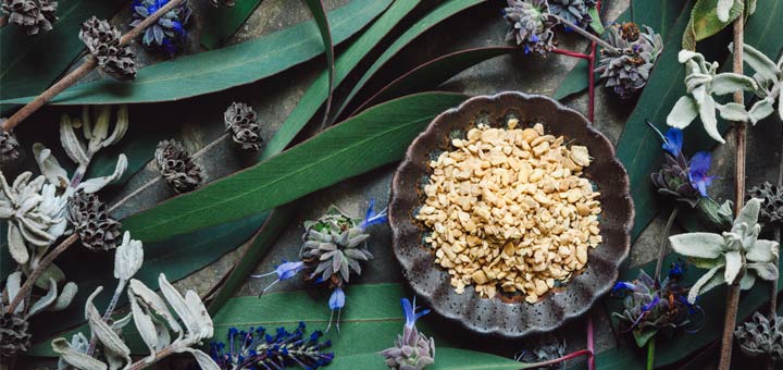5 Herbs That Help Clear Mucus From Your Lungs