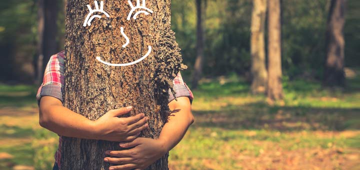 hugging-tree