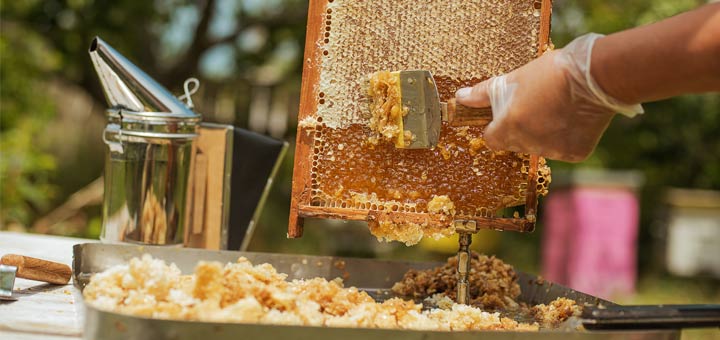 The Best Home Remedies Using Raw Honey