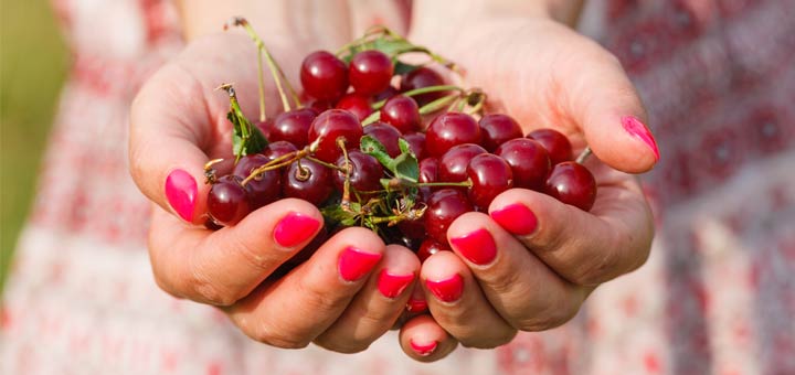 A Handy Guide To Eating Healthier Portions