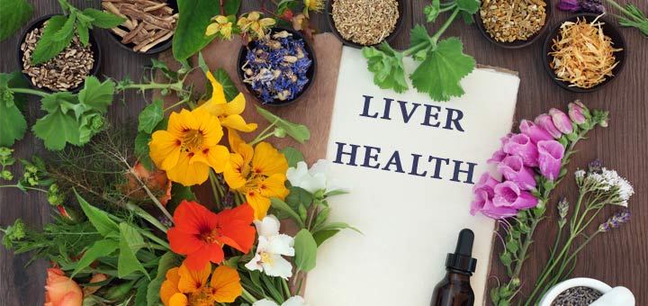 liver-health-herbs