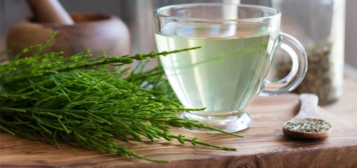 This Herb Supports Joint, Hair, Nail, And Skin Health