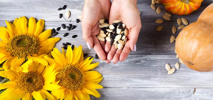 Small But Mighty: 5 Super Seeds You Should Eat