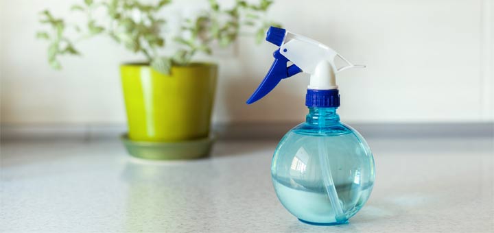 diy-lemon-disinfectant-spray