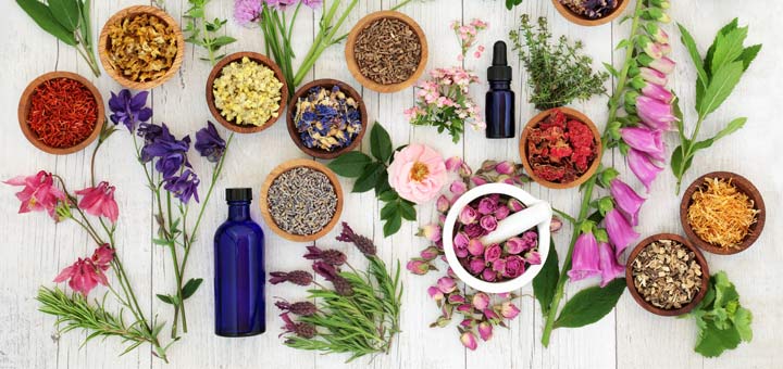 herbs-on-white-background