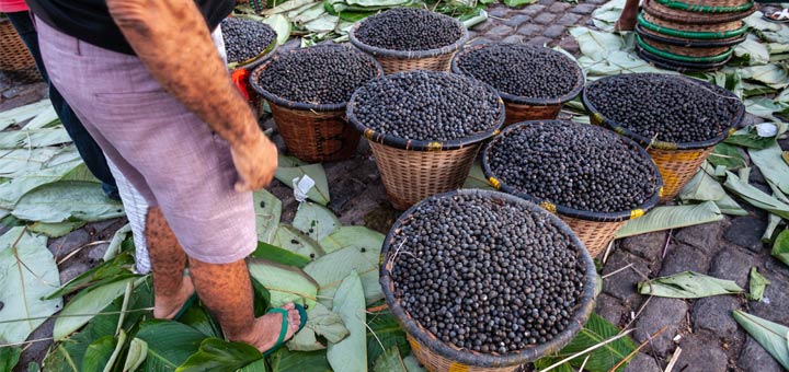 acai-berry-baskets