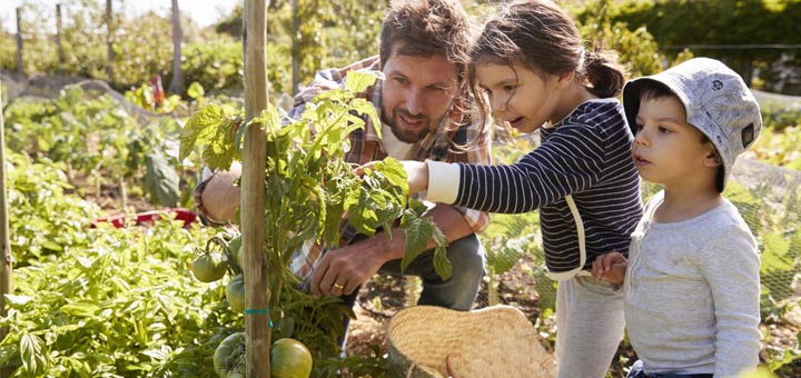 We Just Wet Our Plants For National Gardening Day