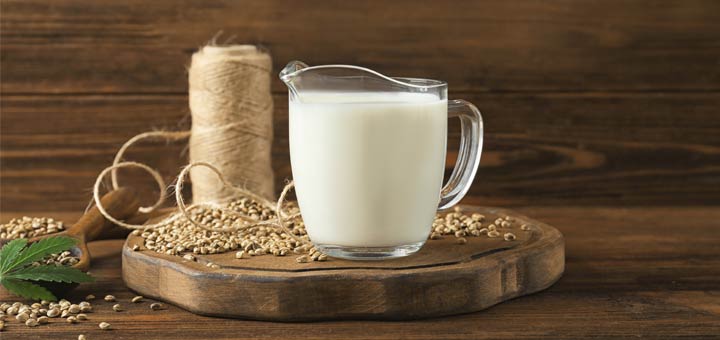 Homemade Hemp Milk