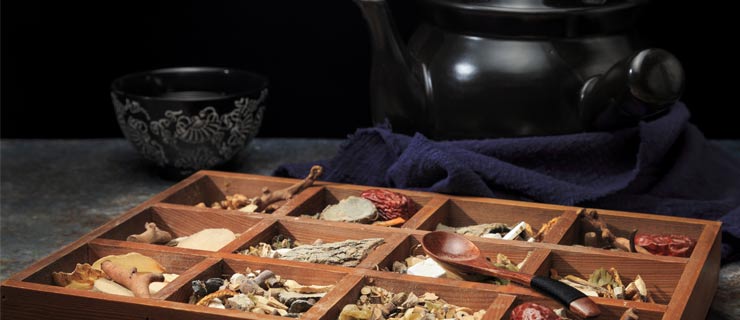 The Magical Health Properties Of Medicinal Mushrooms